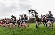 15 February 2017;  A general view of the start of the Intermediate Girls 3500m final during the Irish Life Health Leinster Schools Cross Country at Santry Demesne in Santry, Co. Dublin. Photo by David Maher/Sportsfile