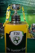 15 February 2017; The FAI Junior Cup pictured during the FAI Junior Cup Quarter Final Launch and Draw at the Aviva Stadium in Lansdown Road, Co. Dublin. Photo by Cody Glenn/Sportsfile