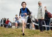 16 February 2017; Dean Casey of St Flannan's College Ennis, Co. Clare, on his way to winning the Minor Boys 2500m race at the Irish Life Health Munster Schools Cross Country at Tramore Valley Park in Cork City. Photo by Eóin Noonan/Sportsfile
