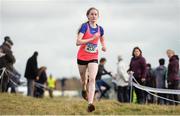 16 February 2017; Shannon Cotter of Coachford College, Co. Cork, during the Junior Girls 2500m race at the Irish Life Health Munster Schools Cross Country at Tramore Valley Park in Cork City. Photo by Eóin Noonan/Sportsfile