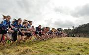 16 February 2017; Athletes in action at the start of the Minor Girls 2000m race at the Irish Life Health Munster Schools Cross Country at Tramore Valley Park in Cork City. Photo by Eóin Noonan/Sportsfile