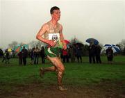 24 February 2002; Peter Dalton of Dundrum South Dublin AC during the Junior Men's race at Inter Club Cross Country Championships of Ireland at the ALSAA Complex in Dublin. Photo by Ray Lohan/Sportsfile