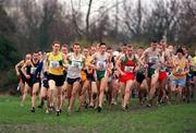 24 February 2002; A general view of the start of the Senior Men's race during the Inter Club Cross Country Championships of Ireland at the ALSAA Complex in Dublin. Photo by Ray Lohan/Sportsfile