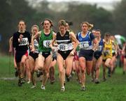 24 February 2002; Eventual winner Anne Keenan Buckley, 992, of North Laois AC, leads the pack at the start of the Senior Women's race during the Inter Club Cross Country Championships of Ireland at the ALSAA Complex in Dublin. Photo by Ray Lohan/Sportsfile