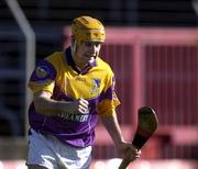 9 March 2002; Wexford's Michael Jordan celebrates his first half goal during the Allianz National Hurling League Division 1B Round 2 match between Cork and Wexford at Páirc U’ Chaoimh in Cork. Photo by Brendan Moran/Sportsfile