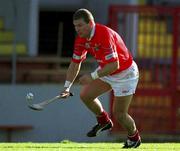 9 March 2002; Diarmuid O'Sullivan of Cork during the Allianz National Hurling League Division 1B Round 2 match between Cork and Wexford at Páirc Uí Chaoimh in Cork. Photo by Brendan Moran/Sportsfile