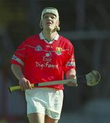 9 March 2002; Niall McCarthy of Cork during the Allianz National Hurling League Division 1B Round 2 match between Cork and Wexford at Páirc Uí Chaoimh in Cork. Photo by Brendan Moran/Sportsfile