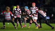 17 February 2017; Action from the Bank of Ireland mini's game between Mullingar RFC and Tullow RFC at half time of the Guinness PRO12 Round 15 match between Leinster and Edinburgh Rugby at the RDS Arena in Ballsbridge, Dublin. Photo by Stephen McCarthy/Sportsfile