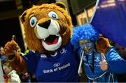17 February 2017; Leinster supporter Eóin O'Driscoll from Goatstown, Dublin with Leo The Lion ahead of the Guinness PRO12 Round 15 match between Leinster and Edinburgh at the RDS Arena in Ballsbridge, Dublin. Photo by Ramsey Cardy/Sportsfile