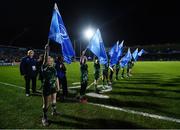 17 February 2017; Greystones RFC players ahead of their half-time mini's game at the Guinness PRO12 Round 15 match between Leinster and Edinburgh Rugby at the RDS Arena in Ballsbridge, Dublin. Photo by Ramsey Cardy/Sportsfile