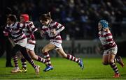 17 February 2017; Action from the Bank of Ireland mini's game between Tullow RFC and Mullingar RFC at half time of the Guinness PRO12 Round 15 match between Leinster and Edinburgh Rugby at the RDS Arena in Ballsbridge, Dublin. Photo by Ramsey Cardy/Sportsfile