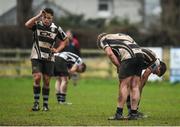 19 February 2017; Dundalk players reacts following their side's defeat during the Bank of Ireland Provincial Towns cup second round match between Dundalk RFC and Enniscorthy RFC at Dundalk RFC grounds in Co. Louth. Photo by Seb Daly/Sportsfile