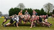 19 February 2017; A general view of the scrum during the Bank of Ireland Provincial Towns cup second round match between Dundalk RFC and Enniscorthy RFC at Dundalk RFC grounds in Co. Louth. Photo by Seb Daly/Sportsfile