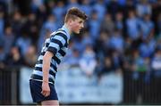 7 February 2017; Fionn Gibbons of Castleknock College during the Bank of Ireland Leinster Schools Junior Cup Round 1 match between St Michael’s College and Castleknock College at Donnybrook Stadium in Dublin. Photo by Ramsey Cardy/Sportsfile