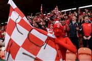 25 February 2017; Cuala supporter Liam Twomey ahead of the AIB GAA Hurling All-Ireland Senior Club Championship Semi-Final match between Cuala and Slaughtneil at the Athletic Grounds in Armagh. Photo by Eóin Noonan/Sportsfile