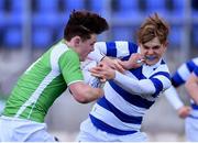 28 February 2017; Luke Hammond of Gonzaga College is tackled by Shane Murray of Blackrock College during the Bank of Ireland Leinster Schools Junior Cup second round match between Blackrock College and Gonzaga College at Donnybrook Stadium in Dublin. Photo by Ramsey Cardy/Sportsfile