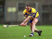 18 March 2002; Colin Lynch of Clare during the Allianz National Hurling League Division 1A Round 3 match between Galway and Clare at Duggan Park in Ballinasloe, Galway. Photo by Ray McManus/Sportsfile