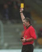 18 March 2002; Referee Denis Richardson during the Allianz National Hurling League Division 1A Round 3 match between Galway and Clare at Duggan Park in Ballinasloe, Galway. Photo by Ray McManus/Sportsfile