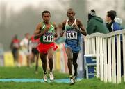 23 March 2002; Kenenisa Bekele of Ethiopia, left, and John Yuda of Tanzania competing in the senior mens short race during the 2002 IAAF Sport Ireland World Cross Country Championships at Leopardstown Racecourse in Dublin. Photo by Brendan Moran/Sportsfile