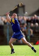18 March 2002; Clare goalkeeper David Fitzgerald during the Allianz National Hurling League Division 1A Round 3 match between Galway and Clare at Duggan Park in Ballinasloe, Galway. Photo by Ray McManus/Sportsfile