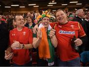 10 March 2017; Ireland and Wales supporters before the RBS Six Nations Rugby Championship match between Wales and Ireland at the Principality Stadium in Cardiff, Wales. Photo by Stephen McCarthy/Sportsfile