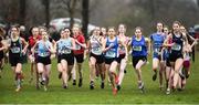 11 March 2017; Competitors at the start of the Inter Girls race during the Irish Life Health All Ireland Schools Cross Country at Mallusk Playing Fields in Newtownabbey, Co. Antrim. Photo by Oliver McVeigh/Sportsfile