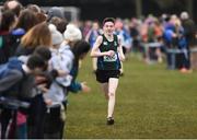 11 March 2017; Dylan McBride of Grosvenor GS Belfast on his way to winning the Minor Boys race during the Irish Life Health All Ireland Schools Cross Country at Mallusk Playing Fields in Newtownabbey, Co. Antrim. Photo by Oliver McVeigh/Sportsfile