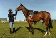 13 March 2017; Syed Raza with Footpad on the gallops prior to the start of the Cheltenham Racing Festival at Prestbury Park, in Cheltenham, England. Photo by Cody Glenn/Sportsfile