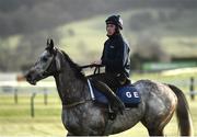 13 March 2017; Labaik, with Jack Kennedy up, on the gallops prior to the start of the Cheltenham Racing Festival at Prestbury Park, in Cheltenham, England. Photo by Seb Daly/Sportsfile