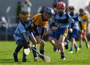 12 March 2017; Children from the local clubs play in an U10 game at half time during the Allianz Hurling League Division 1A Round 4 match between Clare and Dublin at Cusack Park in Ennis, Co. Clare. Photo by Ray McManus/Sportsfile