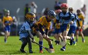 12 March 2017; Children from the local clubs play in an U10 game at half time during the Allianz Hurling League Division 1A Round 4 match between Clare and Dublin at Cusack Park in Ennis, Co. Clare. Photo by Ray McManus/Sportsfile