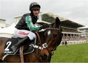 14 March 2017; Nico de Boinville celebrates winning the Racing Post Arkle Challenge Trophy Novices' Steeple Chase on Altior during the Cheltenham Racing Festival at Prestbury Park, in Cheltenham, England. Photo by Cody Glenn/Sportsfile