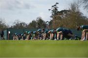 14 March 2017; The Ireland squad during squad training at Carton House in Maynooth, Co Kildare. Photo by Brendan Moran/Sportsfile