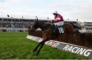 14 March 2017; Tiger Roll, with Lisa O'Neill up, jumps the last on their way to winning the JT McNamara National Hunt Challenge Cup Amateur Riders' Novices' Steeple Chase during the Cheltenham Racing Festival at Prestbury Park, in Cheltenham, England. Photo by Seb Daly/Sportsfile
