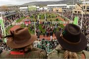 14 March 2017; A general view of the parade ring during the Cheltenham Racing Festival at Prestbury Park, in Cheltenham, England. Photo by Cody Glenn/Sportsfile