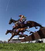15 March 2017; Might Bite, with Nico de Boinville up, jump the second ahead of the field and held on to win the RSA Novices' Steeple Chase during the Cheltenham Racing Festival at Prestbury Park in Cheltenham, England. Photo by Cody Glenn/Sportsfile