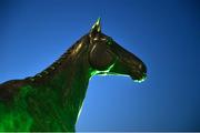 16 March 2017; A statue of 1966 Gold Cup-winner Arkle, trained by Tom Dreaper Mullins and ridden by Pat Taaffe, is illuminated green for St. Patrick's Day during the Cheltenham Racing Festival at Prestbury Park in Cheltenham, England. Photo by Cody Glenn/Sportsfile
