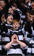 17 March 2017; Belvedere College supporters during the Bank of Ireland Leinster Schools Senior Cup Final match between Belvedere College and Blackrock College at RDS Arena in Dublin. Photo by Stephen McCarthy/Sportsfile