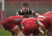 17 March 2017; David Hyland of PBC during the Clayton Hotels Munster Schools Senior Cup Final match between Glenstal Abbey and Presentation Brothers Cork at Thomond Park in Limerick. Photo by Diarmuid Greene/Sportsfile