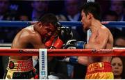 18 March 2017; Roman Gonzalez, left, in action against Srisaket Sor Rungvisai during their at Madison Square Garden in New York, USA. Photo by Ramsey Cardy/Sportsfile