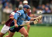 30 March 2002; Carl Meehan of Dublin during the Allianz Hurling League Division 1A Round 1 match between Dublin and Galway at Parnell Park in Dublin. Photo by Damien Eagers/Sportsfile