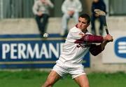 30 March 2002; Galway goalkeeper Liam Donoghue during the Allianz Hurling League Division 1A Round 1 match between Dublin and Galway at Parnell Park in Dublin. Photo by Pat Murphy/Sportsfile