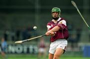 30 March 2002; Fergal Healy of Galway during the Allianz Hurling League Division 1A Round 1 match between Dublin and Galway at Parnell Park in Dublin. Photo by Damien Eagers/Sportsfile