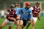30 March 2002; David Sweeney of Dublin during the Allianz Hurling League Division 1A Round 1 match between Dublin and Galway at Parnell Park in Dublin. Photo by Damien Eagers/Sportsfile