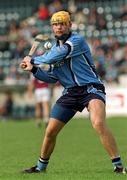 30 March 2002; David Curtin of Dublin during the Allianz Hurling League Division 1A Round 1 match between Dublin and Galway at Parnell Park in Dublin. Photo by Pat Murphy/Sportsfile