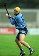 30 March 2002; David Curtin of Dublin during the Allianz Hurling League Division 1A Round 1 match between Dublin and Galway at Parnell Park in Dublin. Photo by Damien Eagers/Sportsfile