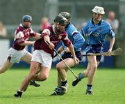 30 March 2002; Richie Murray of Galway during the Allianz Hurling League Division 1A Round 1 match between Dublin and Galway at Parnell Park in Dublin. Photo by Damien Eagers/Sportsfile