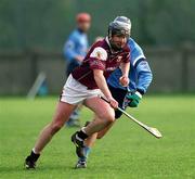 30 March 2002; Liam Hodgins of Galway during the Allianz Hurling League Division 1A Round 1 match between Dublin and Galway at Parnell Park in Dublin. Photo by Damien Eagers/Sportsfile