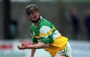 30 March 2002; Rory Hanniffy of Offaly during the Allianz National Hurling League Division 1B Round 1 match between Offaly and Tipperary in St Brendan's Park in Birr, Offaly. Photo by Brendan Moran/Sportsfile