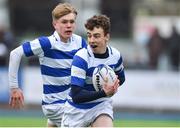 22 March 2017; Michael Lowey of Blackrock College during the Bank of Ireland Leinster Schools Junior Cup Final match between St. Michaels College and Blackrock College at Donnybrook Stadium in Donnybrook, Dublin. Photo by Matt Browne/Sportsfile